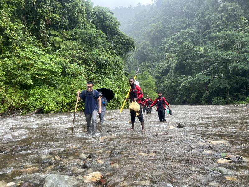 万水千山只等闲，，，，，，践行六讲勇向前 ——所罗门金岭水电站项目勘察工作侧记